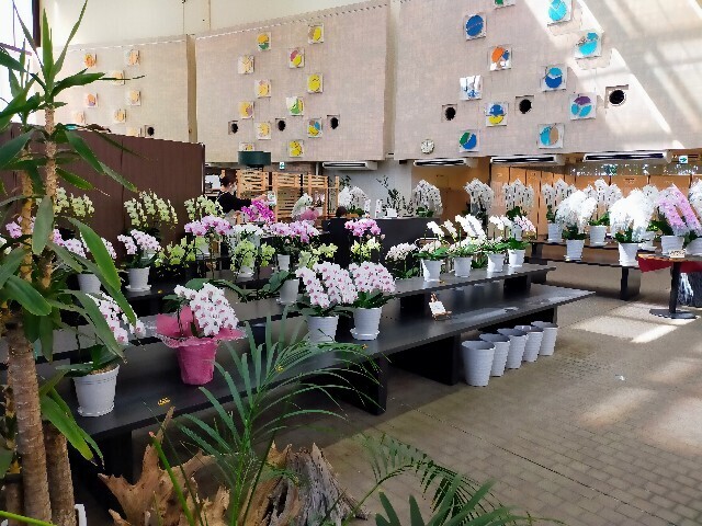 f:id:bluemoonbell:20231106201324j:image f:id:bluemoonbell:20231106201324j:image