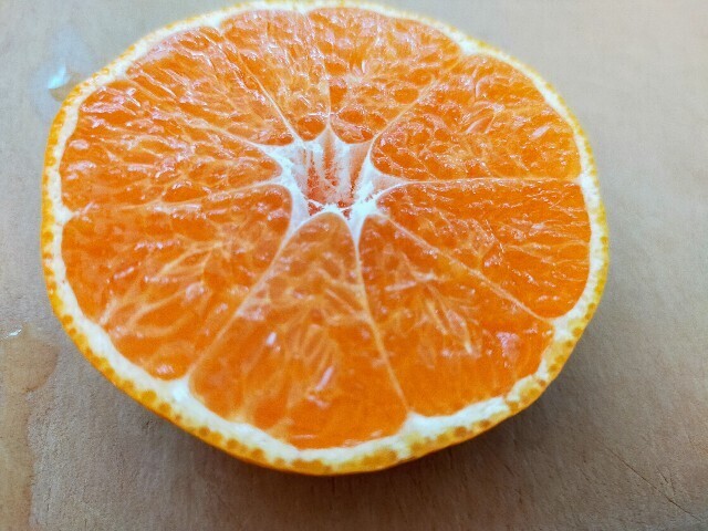 f:id:bluemoonbell:20231114200118j:image