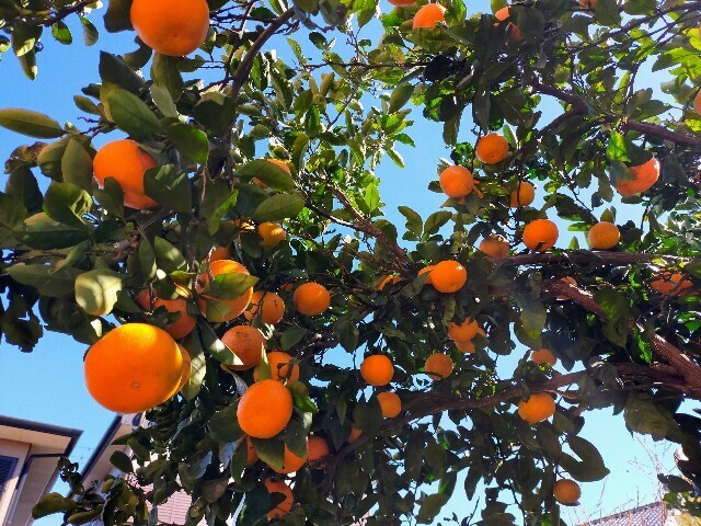 f:id:bluemoonbell:20231114200135j:image