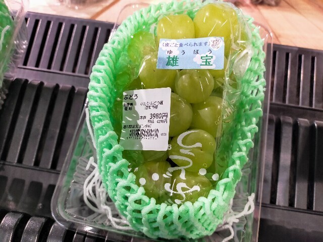 f:id:bluemoonbell:20231218114021j:image f:id:bluemoonbell:20231218114021j:image