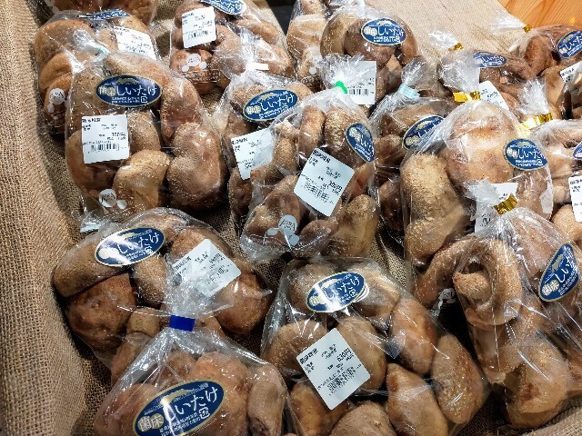 f:id:bluemoonbell:20231218114034j:image f:id:bluemoonbell:20231218114034j:image