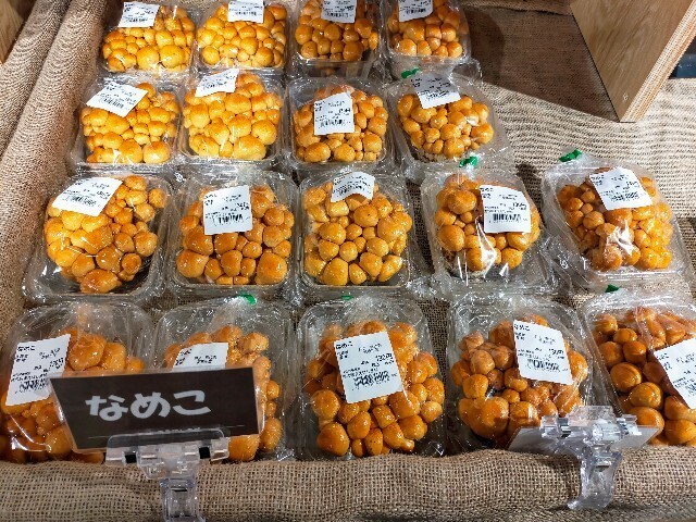 f:id:bluemoonbell:20231218114044j:image f:id:bluemoonbell:20231218114044j:image