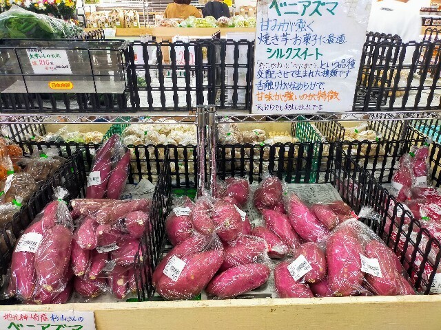 f:id:bluemoonbell:20231226173915j:image f:id:bluemoonbell:20231226173915j:image