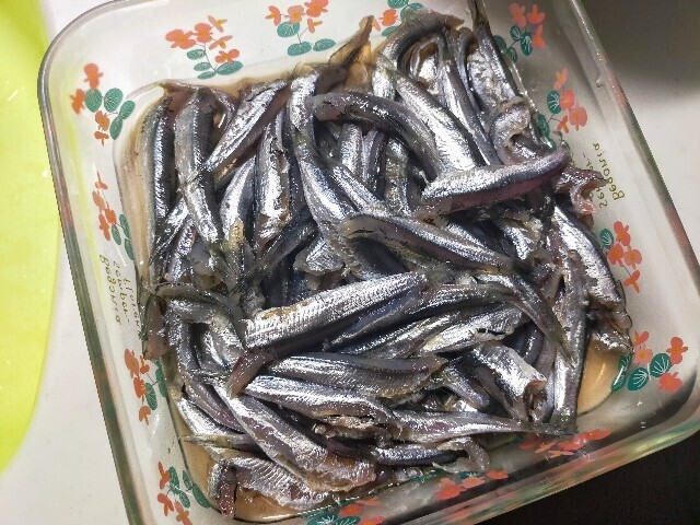 f:id:bluemoonbell:20231230152420j:image