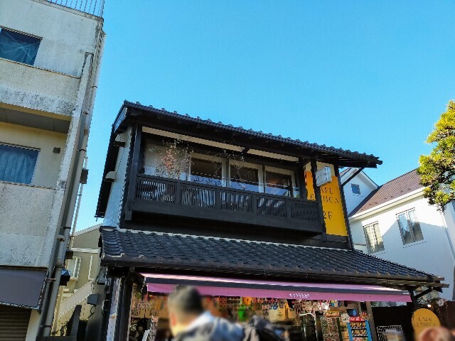 f:id:bluemoonbell:20240106132446j:image