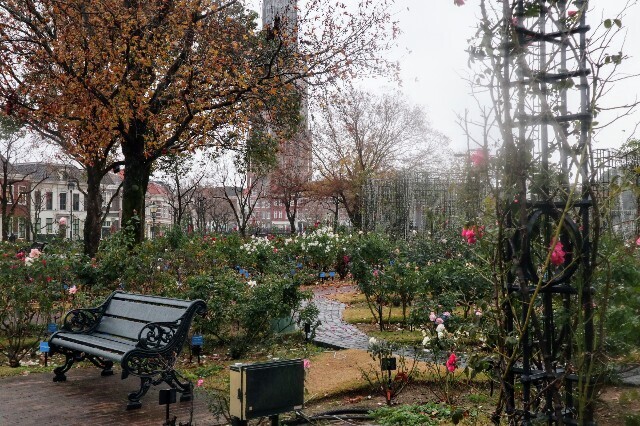 f:id:bluemoonbell:20240119200434j:image f:id:bluemoonbell:20240119200434j:image