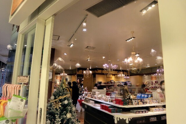 f:id:bluemoonbell:20240119200504j:image f:id:bluemoonbell:20240119200504j:image