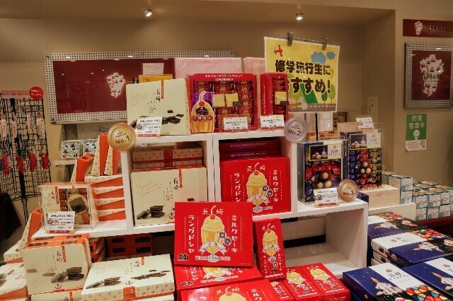 f:id:bluemoonbell:20240119200523j:image f:id:bluemoonbell:20240119200523j:image