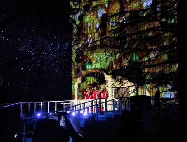 f:id:bluemoonbell:20240127144948j:image