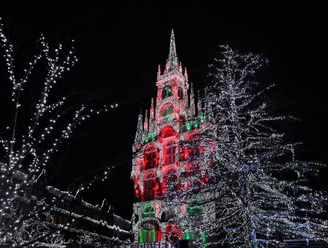 f:id:bluemoonbell:20240127145020j:image