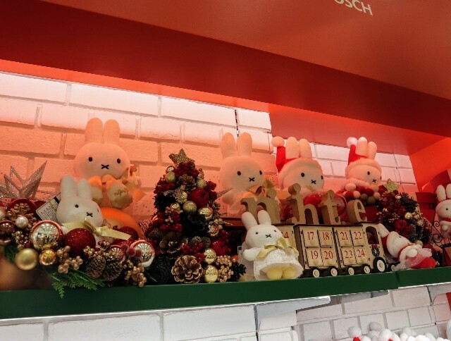 f:id:bluemoonbell:20240127145542j:image