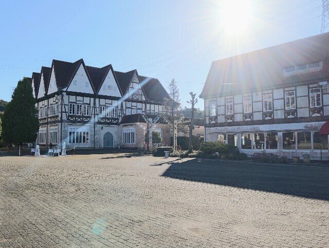 f:id:bluemoonbell:20240318111525j:image f:id:bluemoonbell:20240318111525j:image