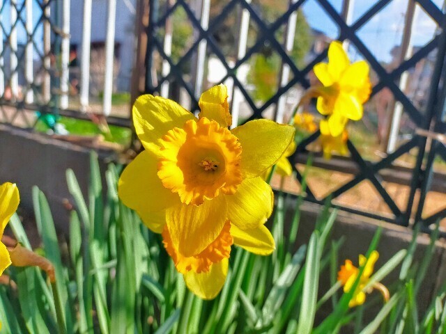 f:id:bluemoonbell:20240320130419j:image