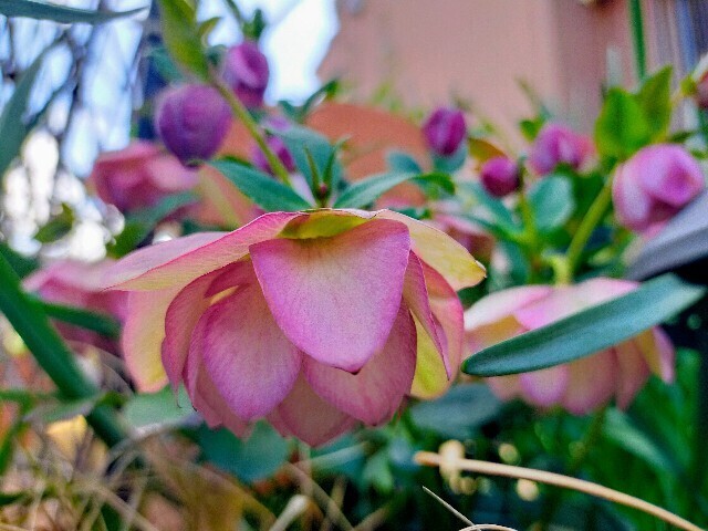 f:id:bluemoonbell:20240320130438j:image