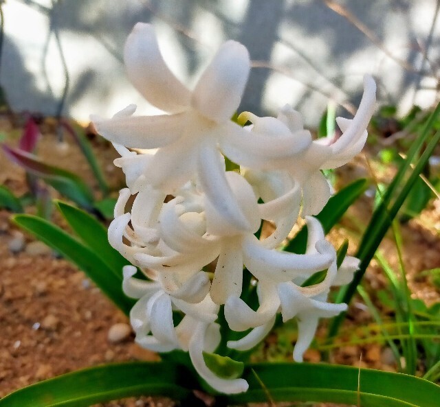 f:id:bluemoonbell:20240320130504j:image