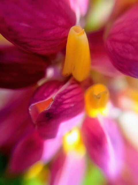 f:id:bluemoonbell:20240320130551j:image