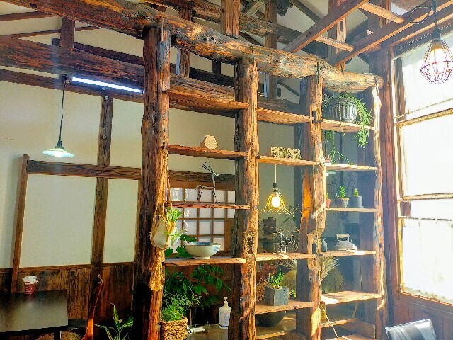 f:id:bluemoonbell:20240328120705j:image f:id:bluemoonbell:20240328120705j:image