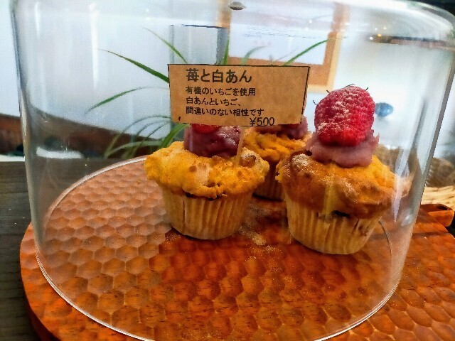 f:id:bluemoonbell:20240328120951j:image f:id:bluemoonbell:20240328120951j:image