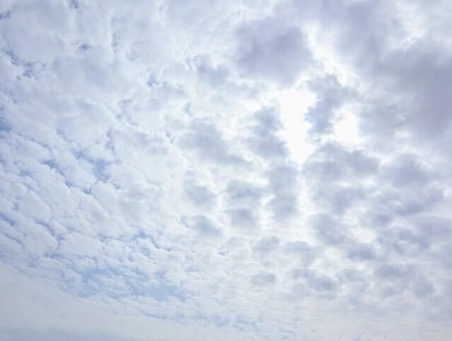 f:id:bluemoonbell:20240403125928j:image
