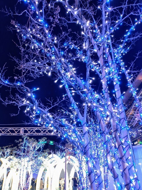 f:id:bluemoonbell:20240406163748j:image f:id:bluemoonbell:20240406163748j:image