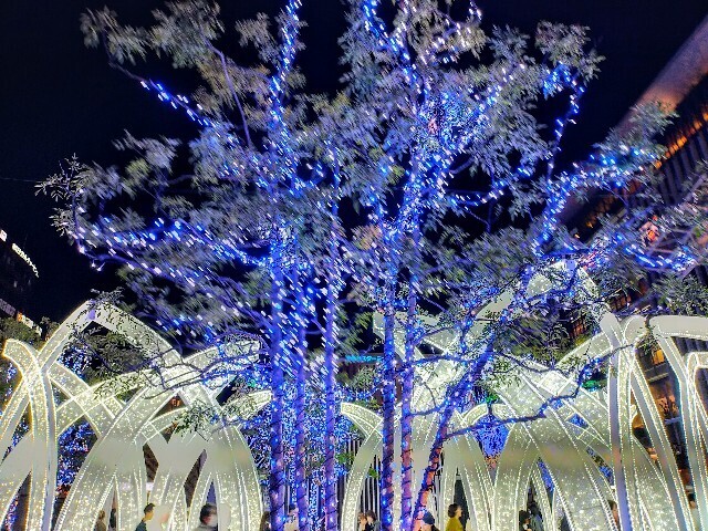 f:id:bluemoonbell:20240406163800j:image f:id:bluemoonbell:20240406163800j:image