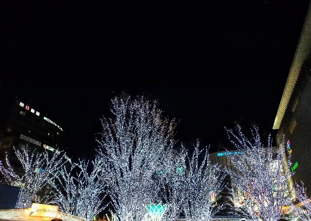 f:id:bluemoonbell:20240406163810j:image f:id:bluemoonbell:20240406163810j:image