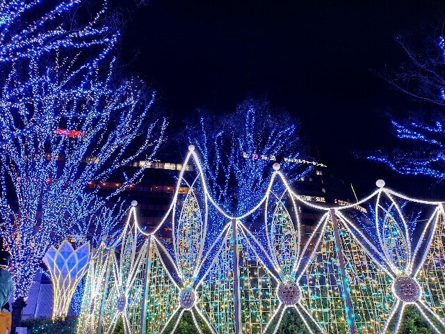 f:id:bluemoonbell:20240406163955j:image f:id:bluemoonbell:20240406163955j:image