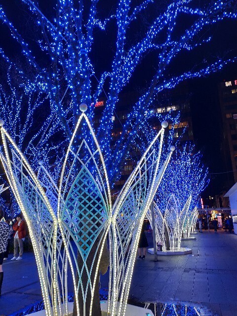 f:id:bluemoonbell:20240406164129j:image f:id:bluemoonbell:20240406164129j:image