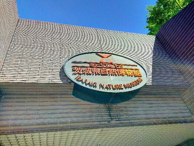 f:id:bluemoonbell:20240506165248j:image f:id:bluemoonbell:20240506165248j:image