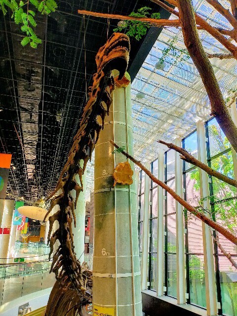 f:id:bluemoonbell:20240506165325j:image f:id:bluemoonbell:20240506165325j:image