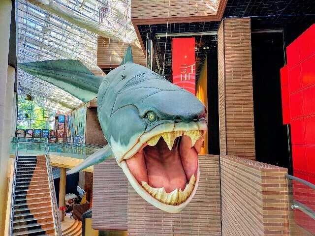 f:id:bluemoonbell:20240506165546j:image f:id:bluemoonbell:20240506165546j:image