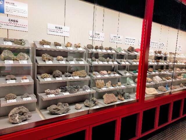 f:id:bluemoonbell:20240507164536j:image f:id:bluemoonbell:20240507164536j:image