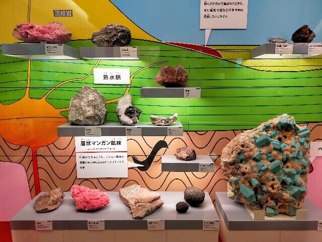 f:id:bluemoonbell:20240507164550j:image f:id:bluemoonbell:20240507164550j:image