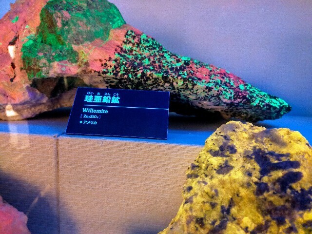 f:id:bluemoonbell:20240507164638j:image f:id:bluemoonbell:20240507164638j:image