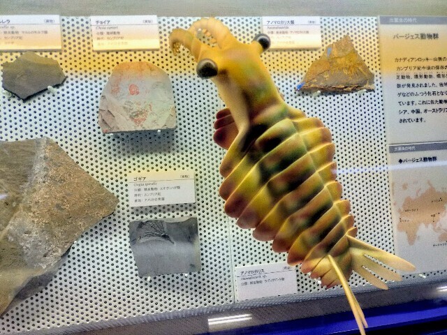 f:id:bluemoonbell:20240510114602j:image f:id:bluemoonbell:20240510114602j:image