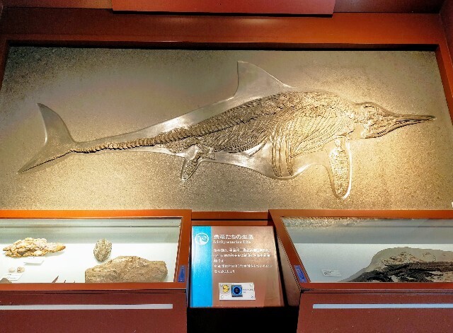 f:id:bluemoonbell:20240510114615j:image f:id:bluemoonbell:20240510114615j:image