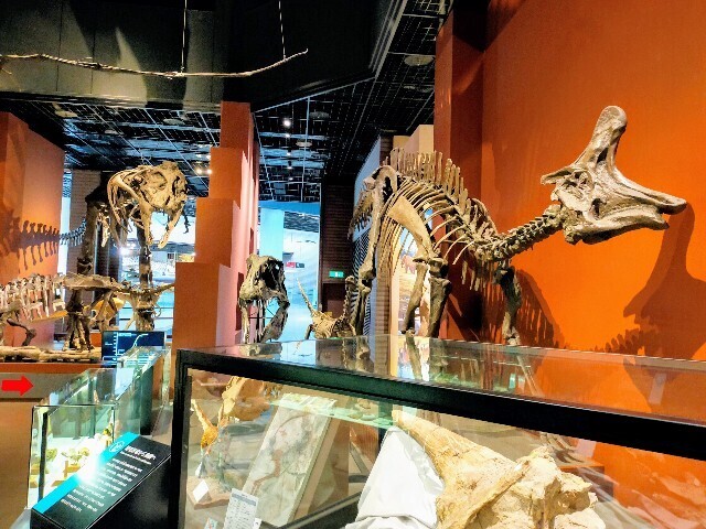 f:id:bluemoonbell:20240510114634j:image f:id:bluemoonbell:20240510114634j:image