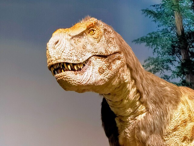 f:id:bluemoonbell:20240510114644j:image f:id:bluemoonbell:20240510114644j:image