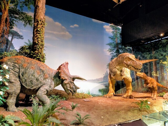 f:id:bluemoonbell:20240510114705j:image f:id:bluemoonbell:20240510114705j:image