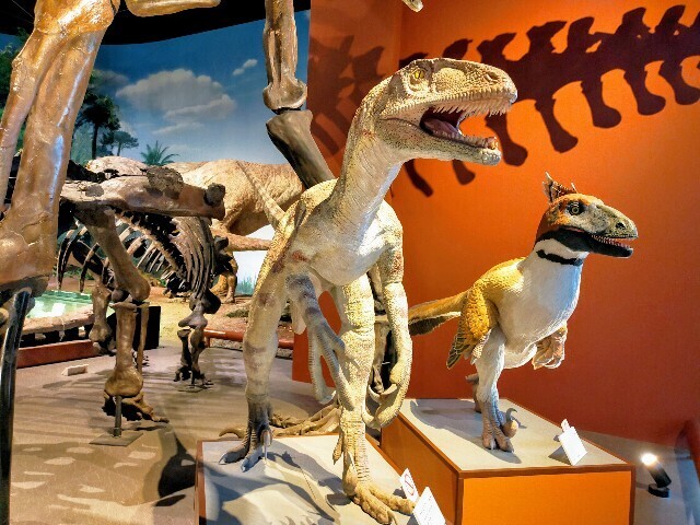 f:id:bluemoonbell:20240510114953j:image f:id:bluemoonbell:20240510114953j:image