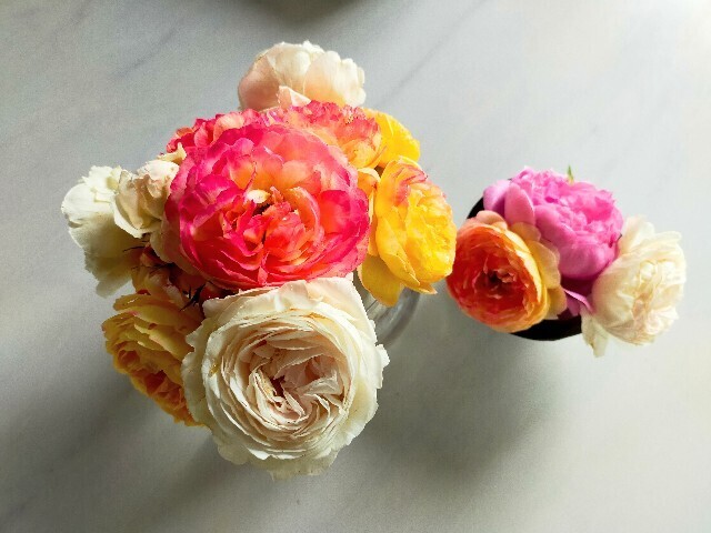 f:id:bluemoonbell:20240527111834j:image f:id:bluemoonbell:20240527111834j:image