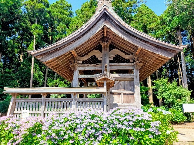 千葉県・多古町】中村檀林旧跡地・千葉のあじさい寺『正東山