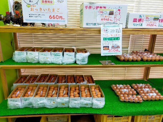 f:id:bluemoonbell:20240617154429j:image