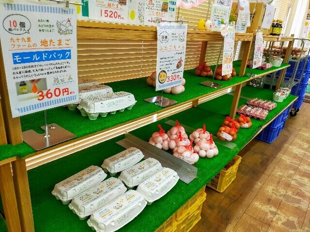 f:id:bluemoonbell:20240617154439j:image