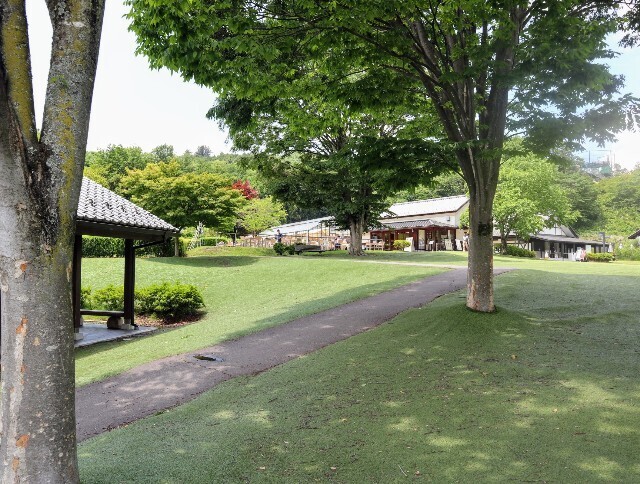 f:id:bluemoonbell:20240621132839j:image