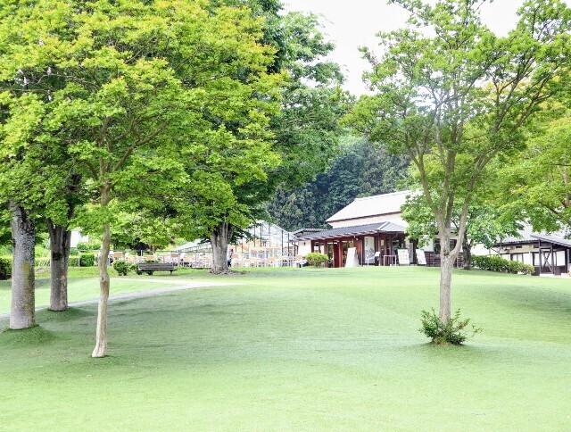 f:id:bluemoonbell:20240621132847j:image