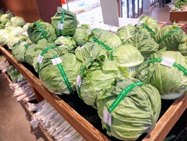 f:id:bluemoonbell:20240621133219j:image