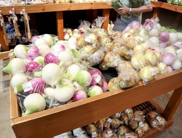 f:id:bluemoonbell:20240621133234j:image