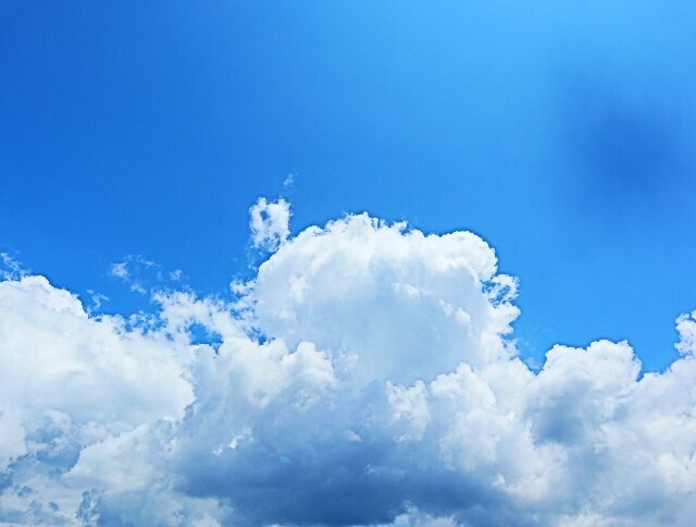 f:id:bluemoonbell:20240623170322j:image