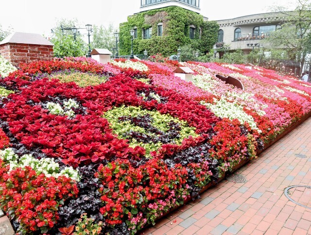 f:id:bluemoonbell:20240711143546j:image